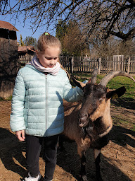 Photo n°11 de HOPLA GEISS à Steinbrunn-le-Bas ()