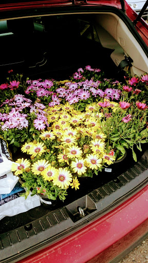 Department Store «Walmart Supercenter», reviews and photos, 3002 Stacy Allison Way, Woodburn, OR 97071, USA