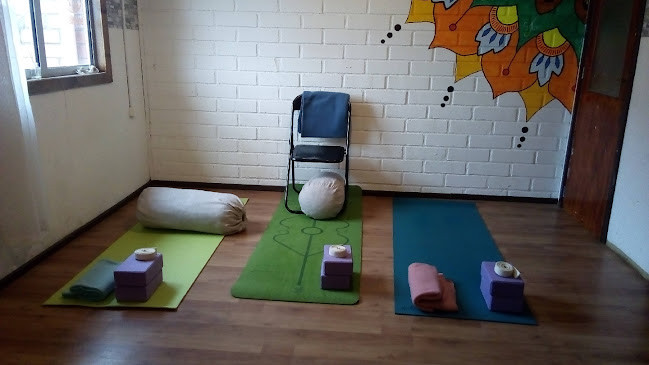Opiniones de Tendo Yoga y Terapias en Punta Arenas - Centro de yoga
