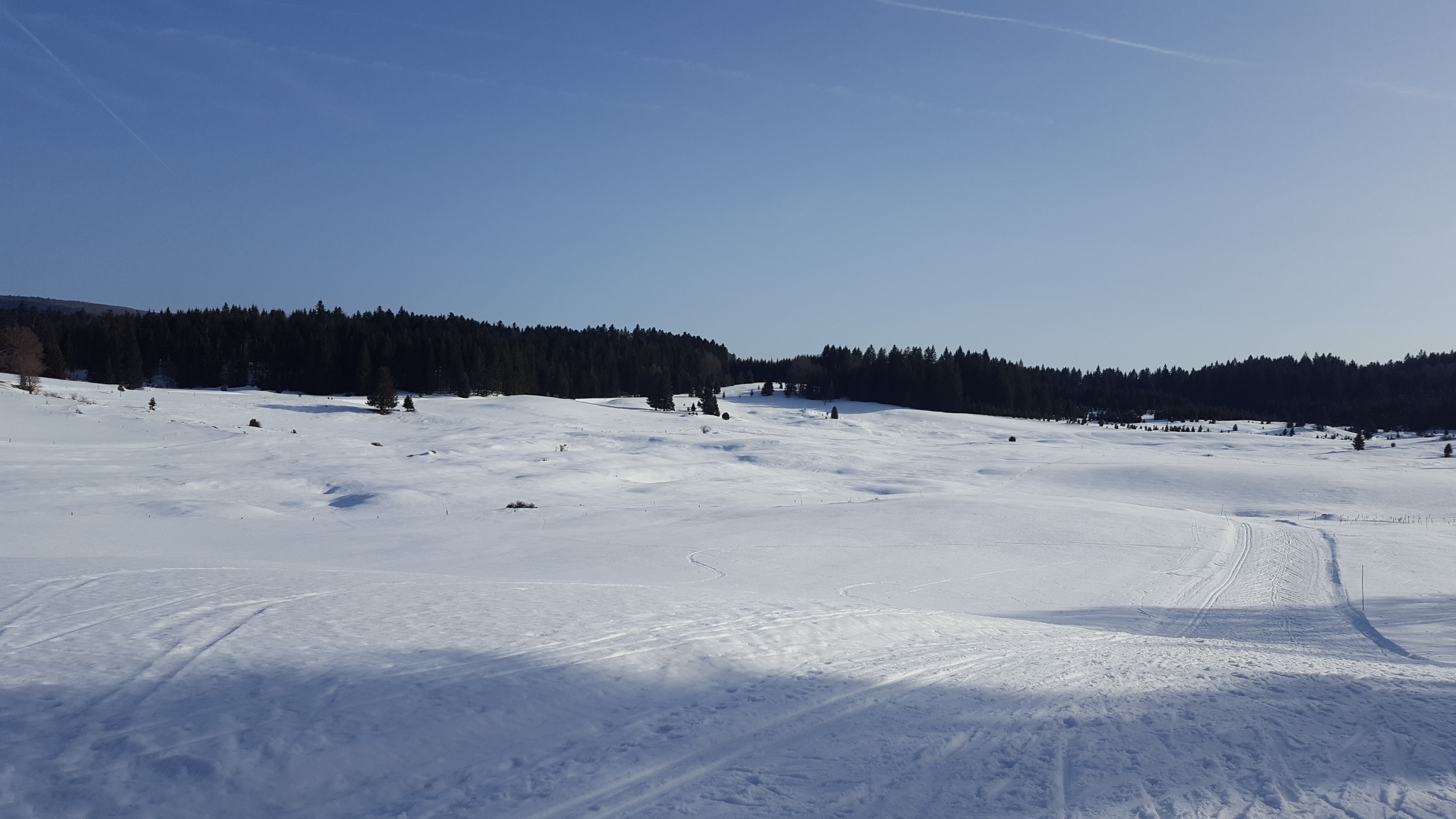 Photo n° 1 de l'avis de bidure70.i fait le 20/02/2019 à 09:21