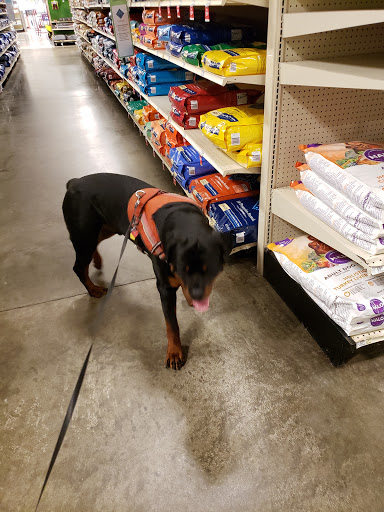 Pet Supply Store «PetSmart», reviews and photos, 12142 Jefferson Ave, Newport News, VA 23602, USA