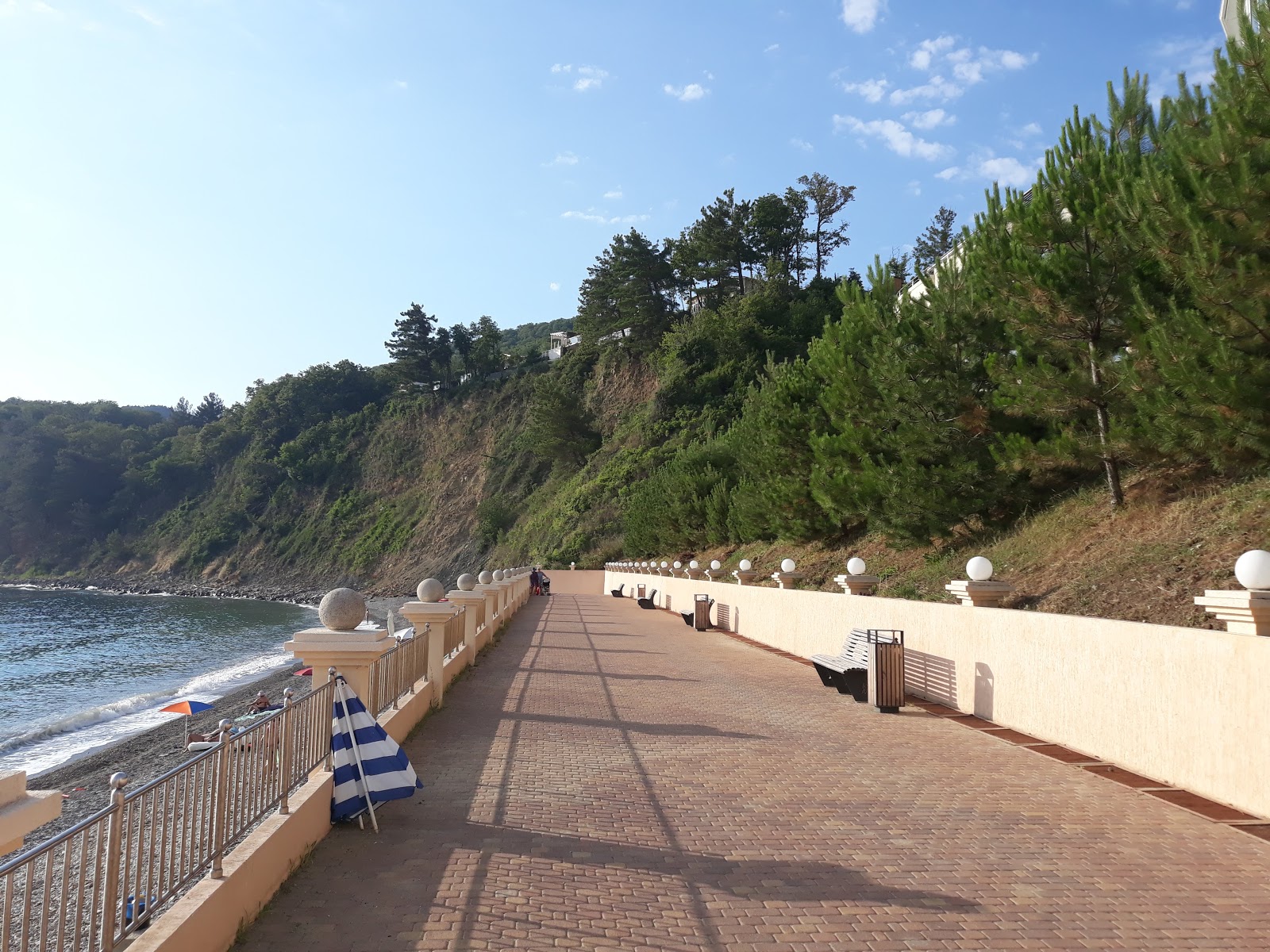Foto von Pine Coast beach mit geräumige bucht