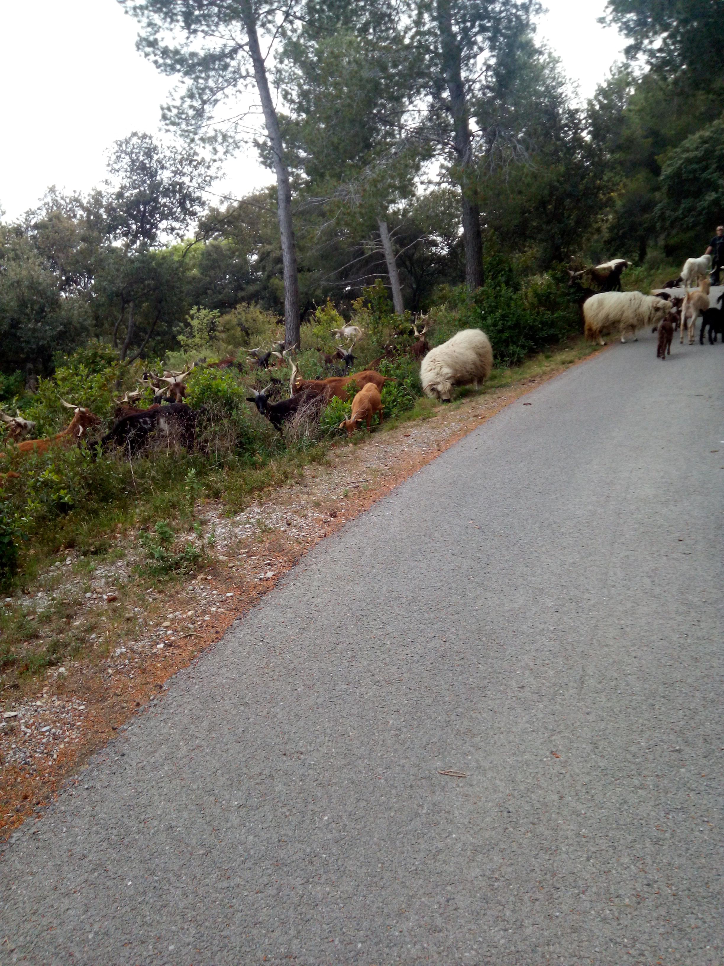 Photo n° 5 de l'avis de OodSSigma. fait le 18/04/2019 à 16:10