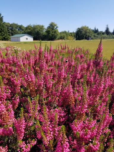 Museum «Cranberry Museum», reviews and photos, 2907 Pioneer Rd, Long Beach, WA 98631, USA