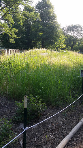 Park «Welles Park», reviews and photos, 2333 W Sunnyside Ave, Chicago, IL 60625, USA