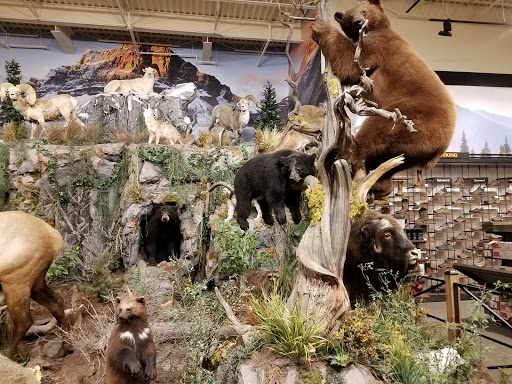 Outdoor Sports Store «Field & Stream», reviews and photos, 800 Brevard Rd #901, Asheville, NC 28806, USA
