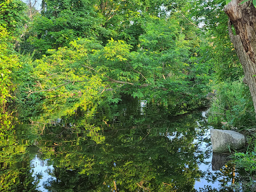 Park «Acushnet Sawmill», reviews and photos, 32 Mill Rd, Acushnet, MA 02743, USA