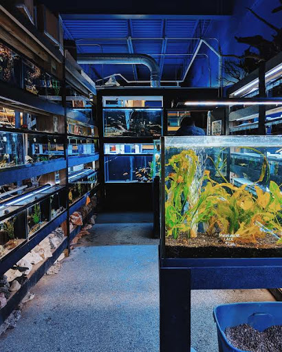 Tropical Fish Store «Living Art Aquarium», reviews and photos, 708 S Gammon Rd, Madison, WI 53719, USA