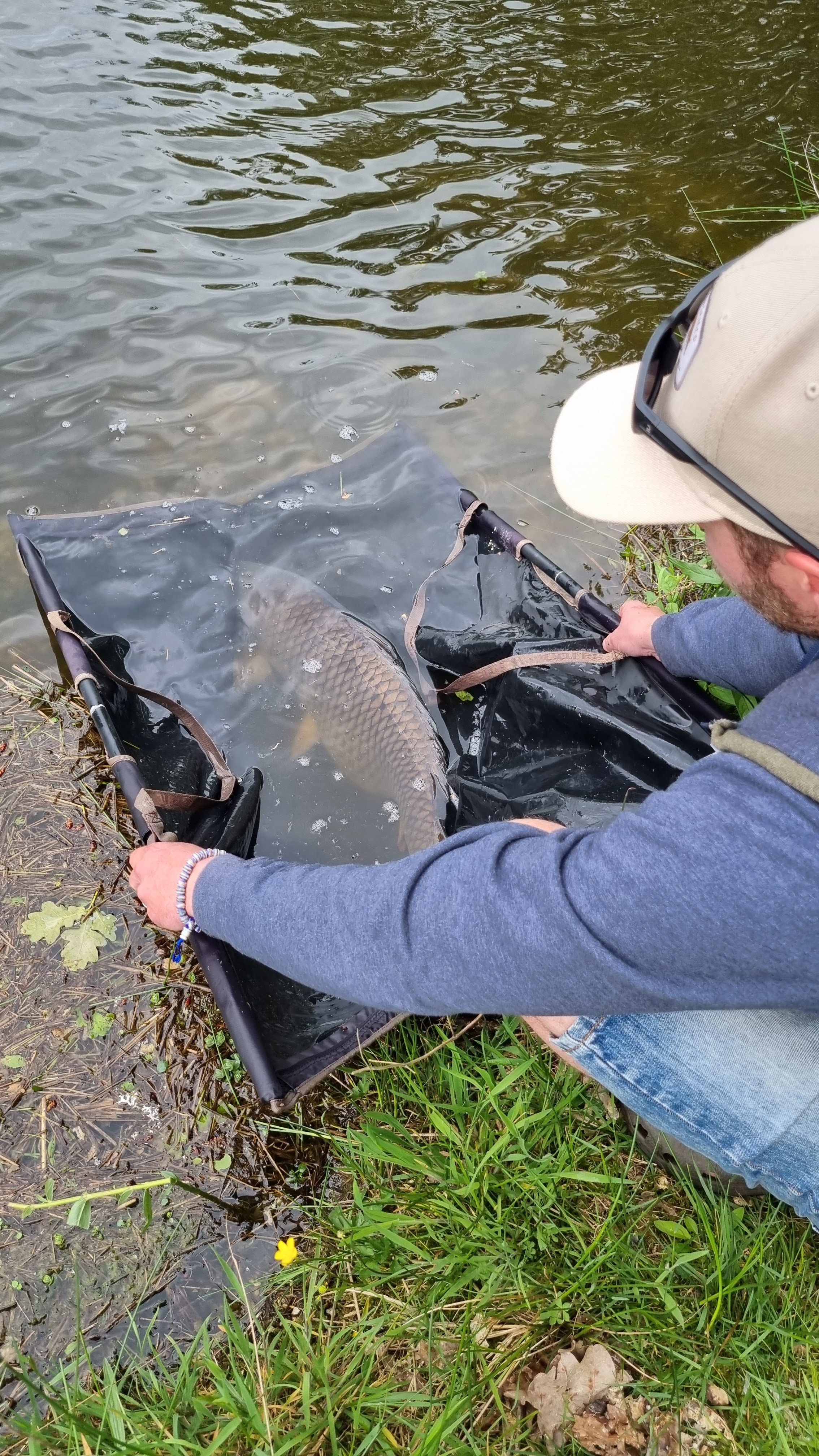 Photo n° 1 de l'avis de David.r fait le 14/06/2023 à 19:00