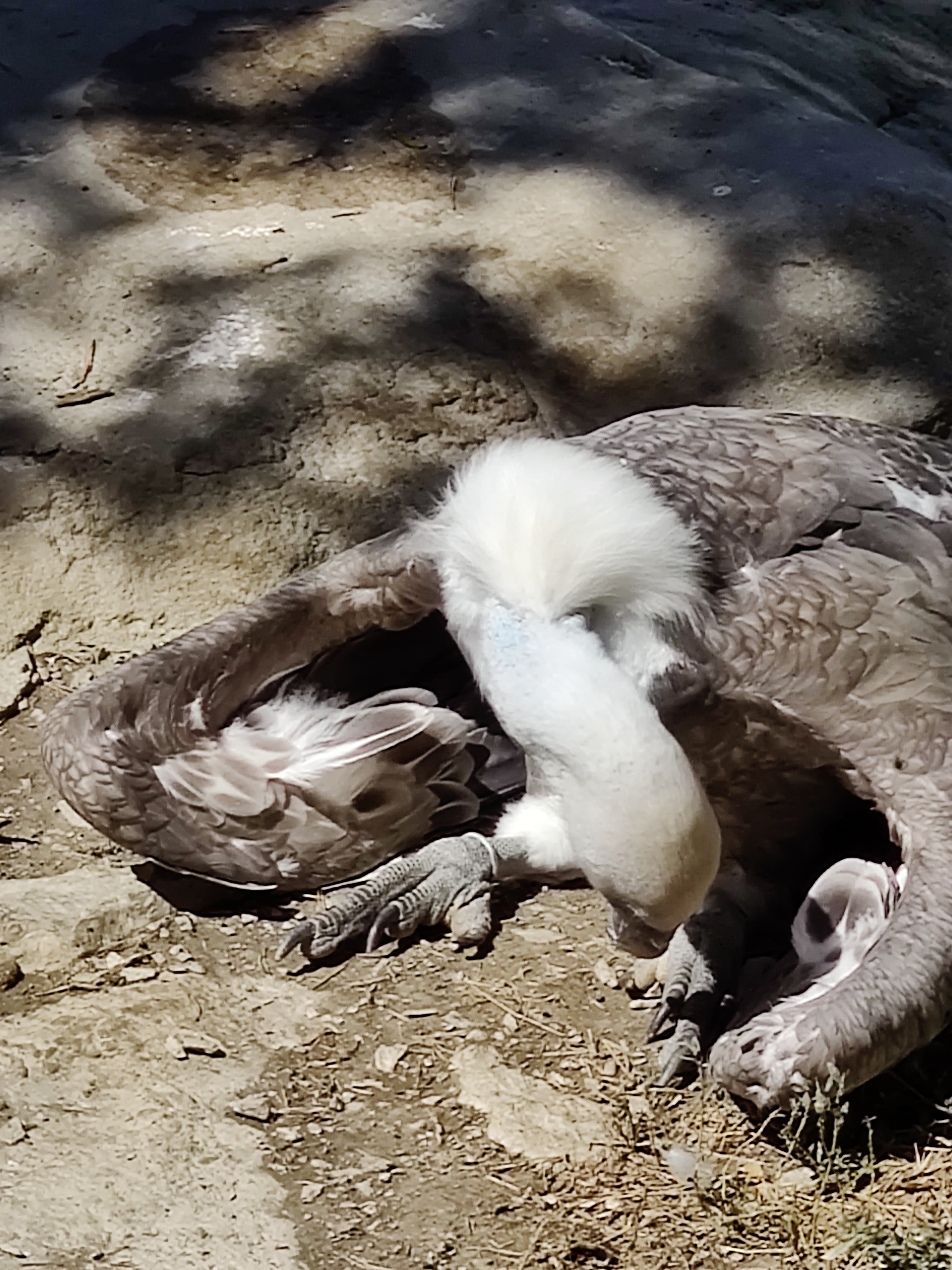 Photo n° 9 de l'avis de Julien.o fait le 14/08/2020 à 12:49
