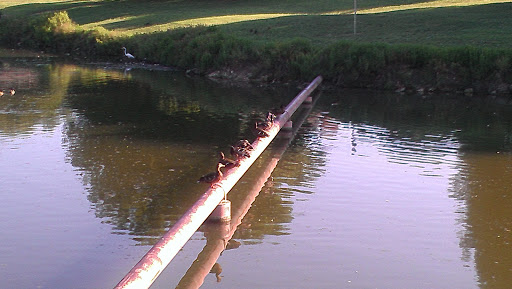 Park «Big Lake Park», reviews and photos, 3800 Rainier Rd, Plano, TX 75023, USA