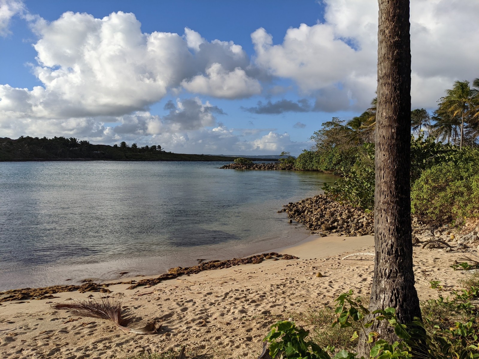 Photo de Plage de la Baie du nord ouest avec l'eau cristalline de surface