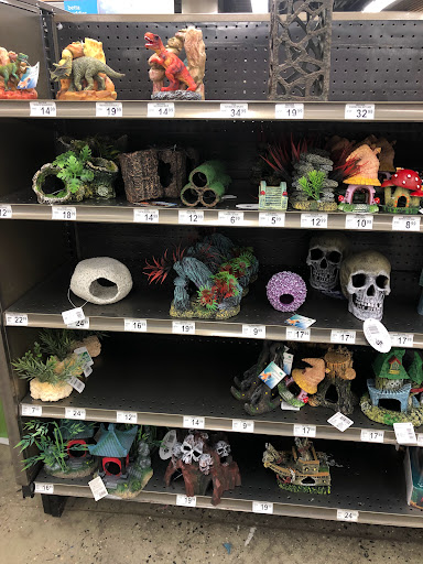 Petco image 7