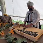 Photo n°7 de l'avis de Barbara.u fait le 03/10/2021 à 06:34 sur le  Lo Smeraldo à Canosa di Puglia