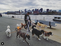 The Fetching Hound - Car repair in Jamaica Plain, MA, Boston - Rated 5.0/5