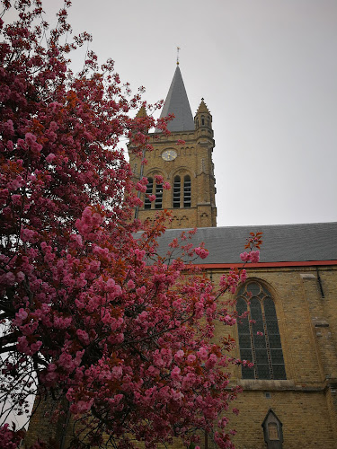 Marktplaats, 8830 Hooglede, België