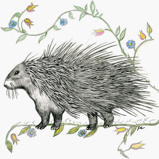 Book Store «Birchbark Books & Native Arts», reviews and photos, 2115 W 21st St, Minneapolis, MN 55405, USA