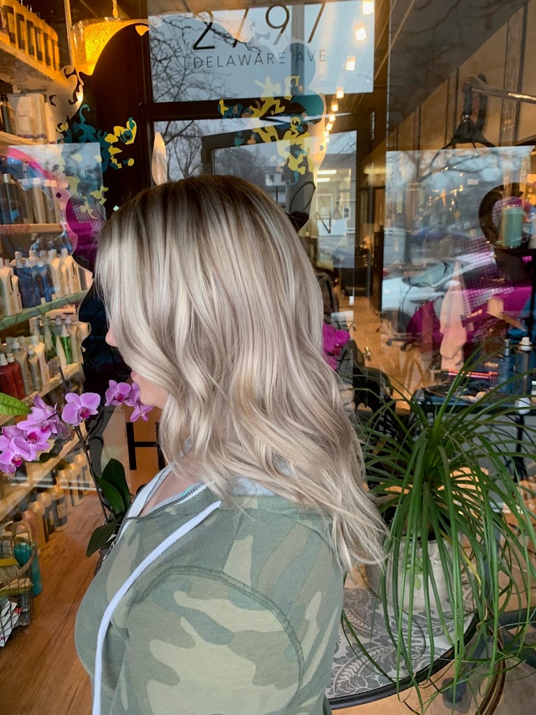 Halo Salon 14217