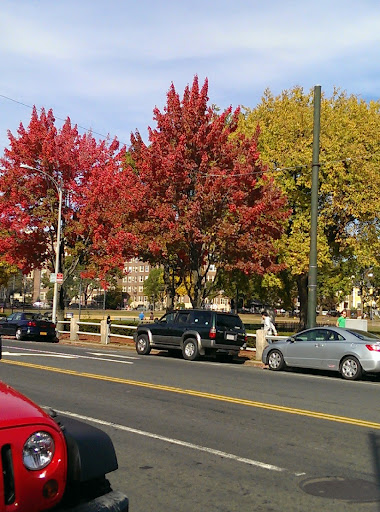 Park «Cambridge Common Park», reviews and photos, Waterhouse St & Massachusetts Ave, Cambridge, MA 02138, USA
