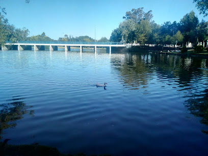 Mirador Lago Parque Ecológico