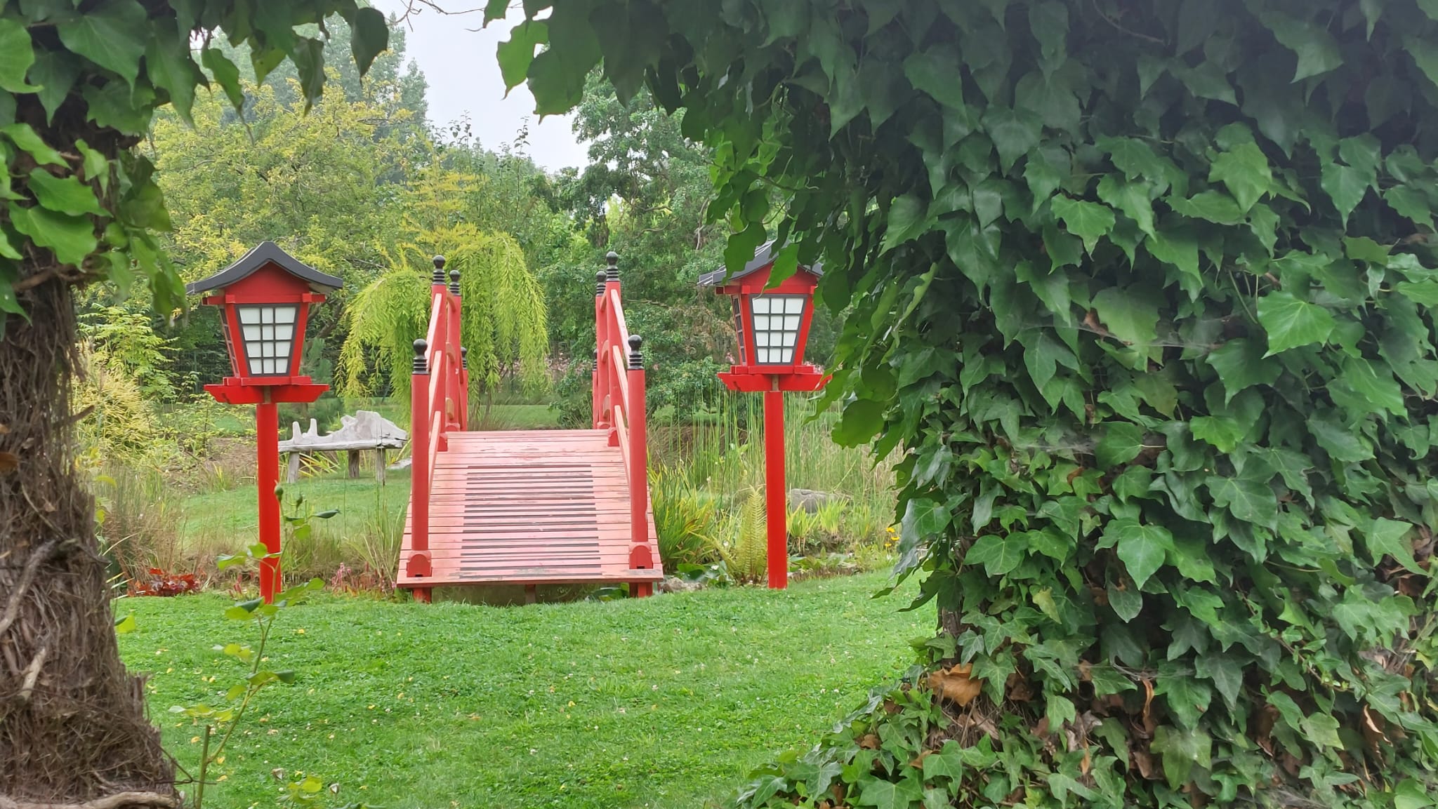 Photo n° 1 de l'avis de Vero. fait le 18/08/2023 à 19:40