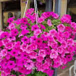 Photo n°19 de l'avis de Telefunken.4 fait le 10/07/2023 à 16:02 sur le  Astoria Park Hotel Spa Resort à Riva del Garda