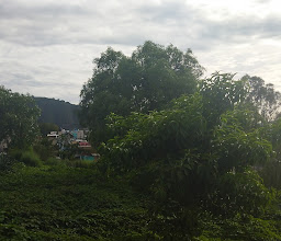 Zacatepec Área Natural Protegida Sierra Santa Catarina Park photo