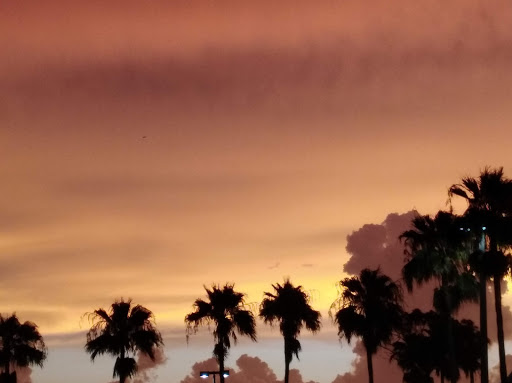 Electronics Store «Best Buy», reviews and photos, 4601 E Colonial Dr, Orlando, FL 32803, USA