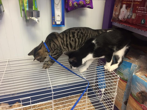 Pet Store «Pets of Portage», reviews and photos, 2219 W Wisconsin St, Portage, WI 53901, USA