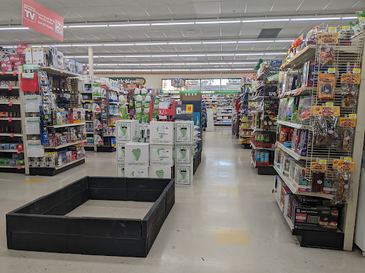 Pharmacy «Discount Drug Mart», reviews and photos, 24485 Lorain Rd, North Olmsted, OH 44070, USA