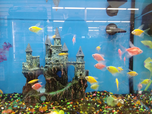 Pet Supply Store «Pet Supplies Plus», reviews and photos, 1937 FL-60, Valrico, FL 33594, USA