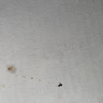 Photo n°1 de l'avis de Phillip.� fait le 14/01/2022 à 19:42 sur le  Kurfürstengrill à Gronau