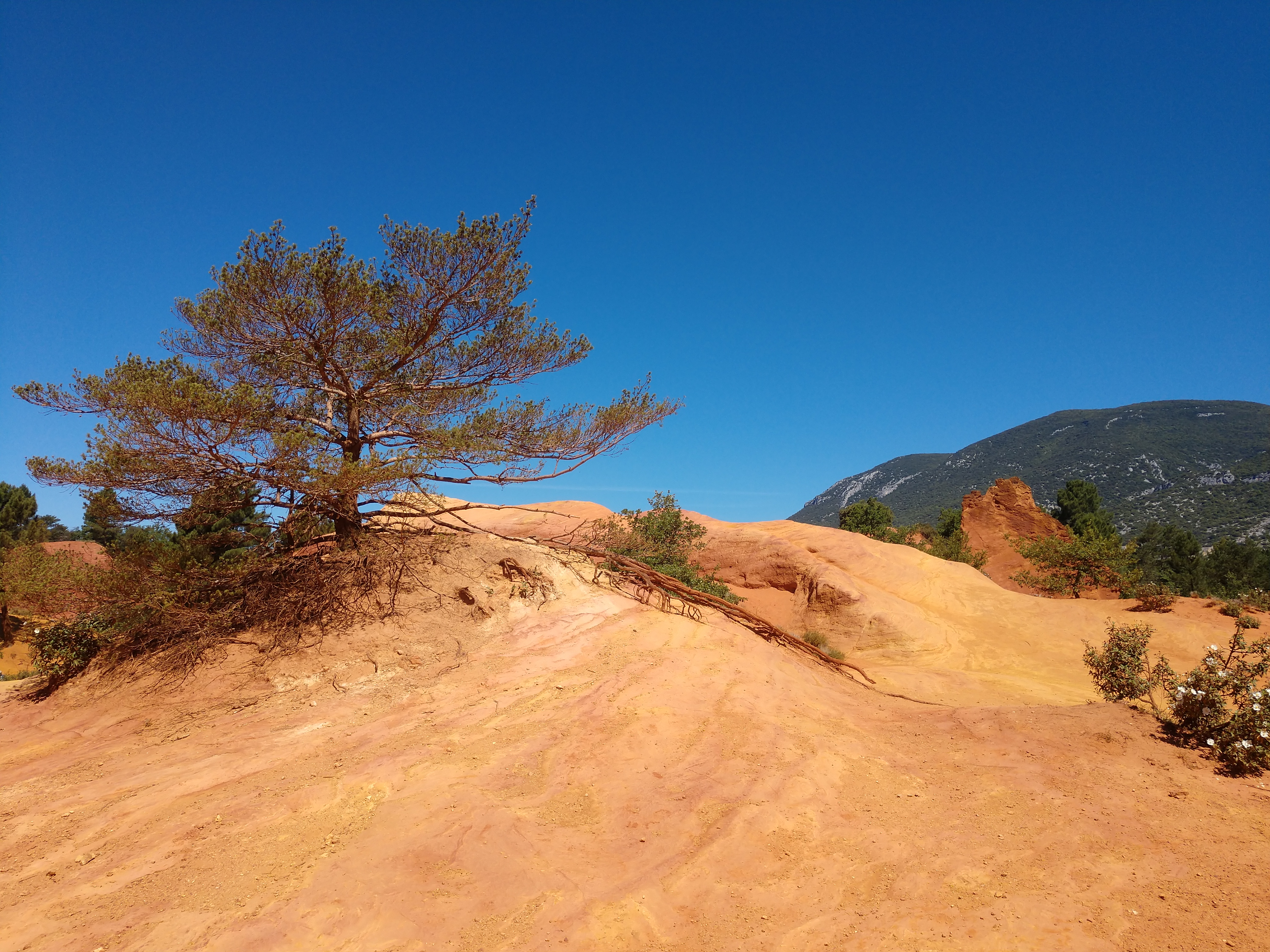 Photo n° 7 de l'avis de Johann.R fait le 16/06/2019 à 20:07
