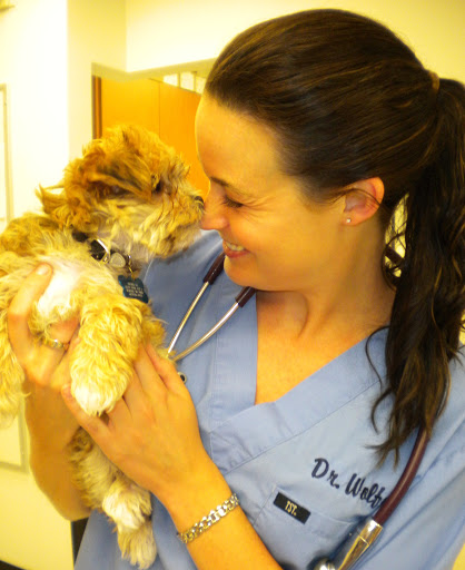 Country Grove Veterinary Clinic Ltd image