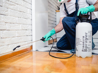 First Choice Specialist Cleaning