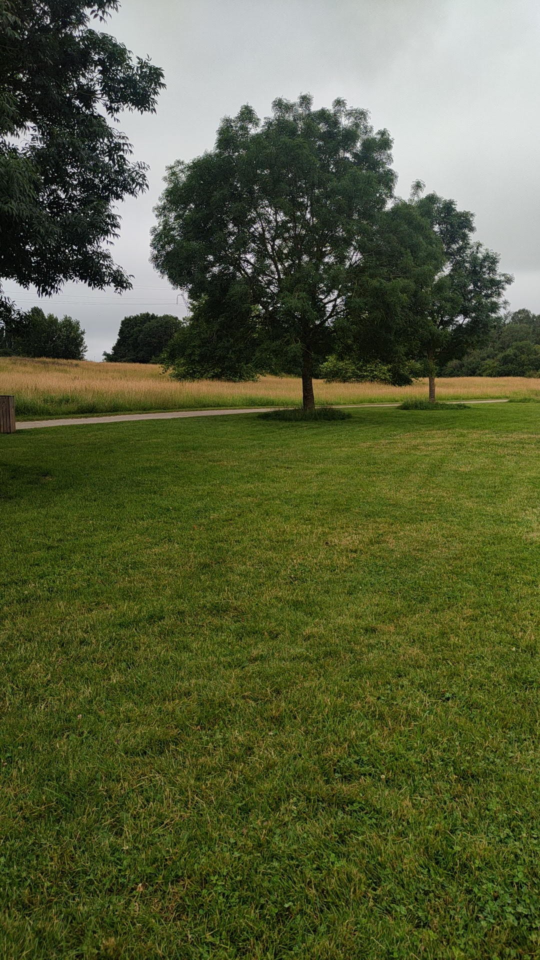 Photo n° 1 de l'avis de Walid.l fait le 29/06/2023 à 16:44