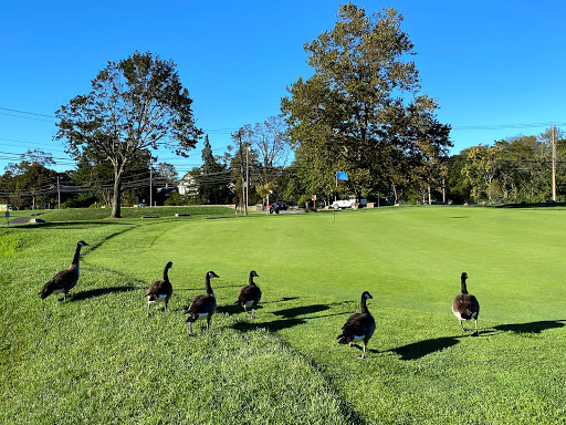 Golf Club «Longshore Golf Course», reviews and photos, 260 Compo Rd S, Westport, CT 06880, USA