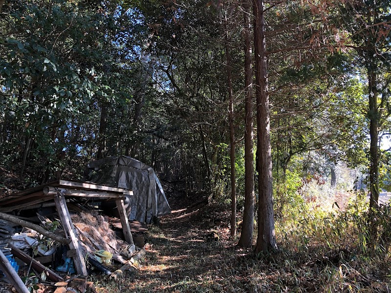 藍岡山城跡