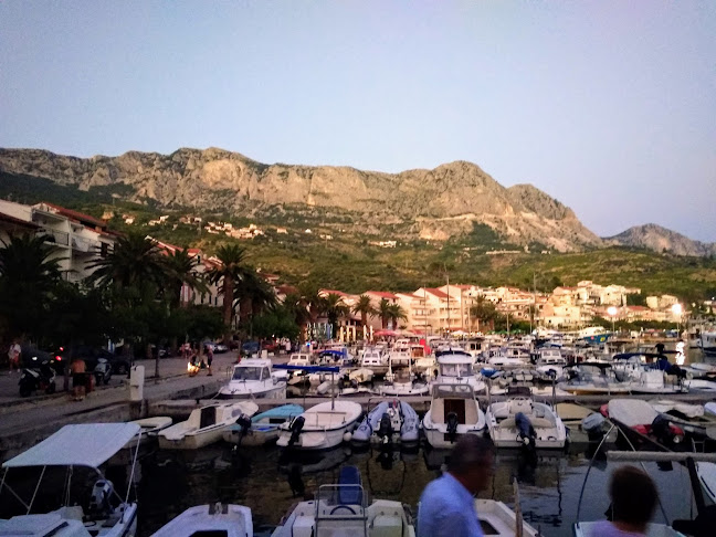 Győr, Zechmeister u. 7, 9021 Magyarország