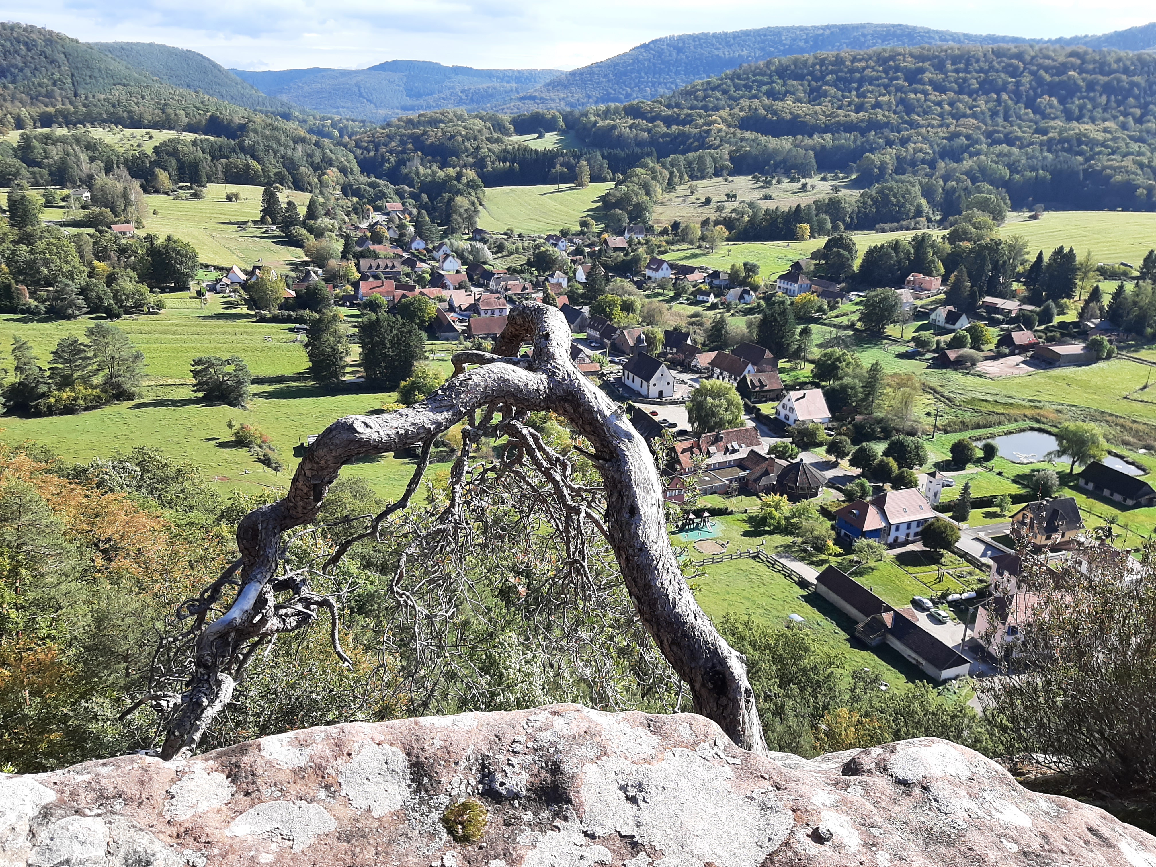 Photo n° 4 de l'avis de Elie.u fait le 17/10/2023 à 09:15
