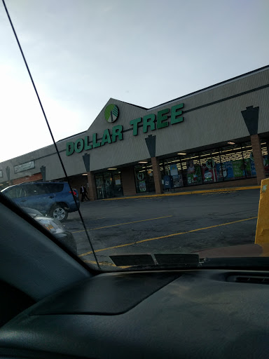 Dollar Store «Dollar Tree», reviews and photos, 208 Meadow Ave, Scranton, PA 18505, USA