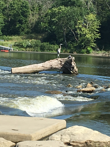 Park «Bicentennial Riverfront Park», reviews and photos, 301 E Hydraulic St, Yorkville, IL 60560, USA