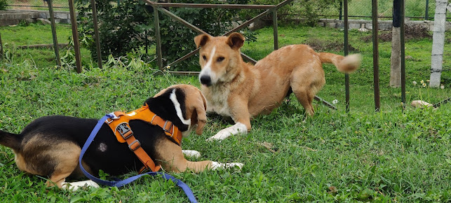 Google Maps image 18