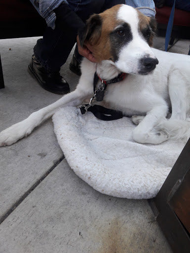 Movie Theater «RoadHouse Cinemas», reviews and photos, 4811 E Grant Rd #150, Tucson, AZ 85712, USA