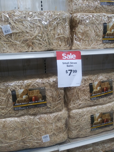 Craft Store «Michaels», reviews and photos, 601 Baltimore Pike, Springfield, PA 19064, USA