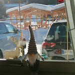 Photo n°1 de l'avis de Luisa.r fait le 27/01/2021 à 20:30 sur le  Ristorante San Marco Di Marco Bezzi & C. Snc à Ponte di Legno