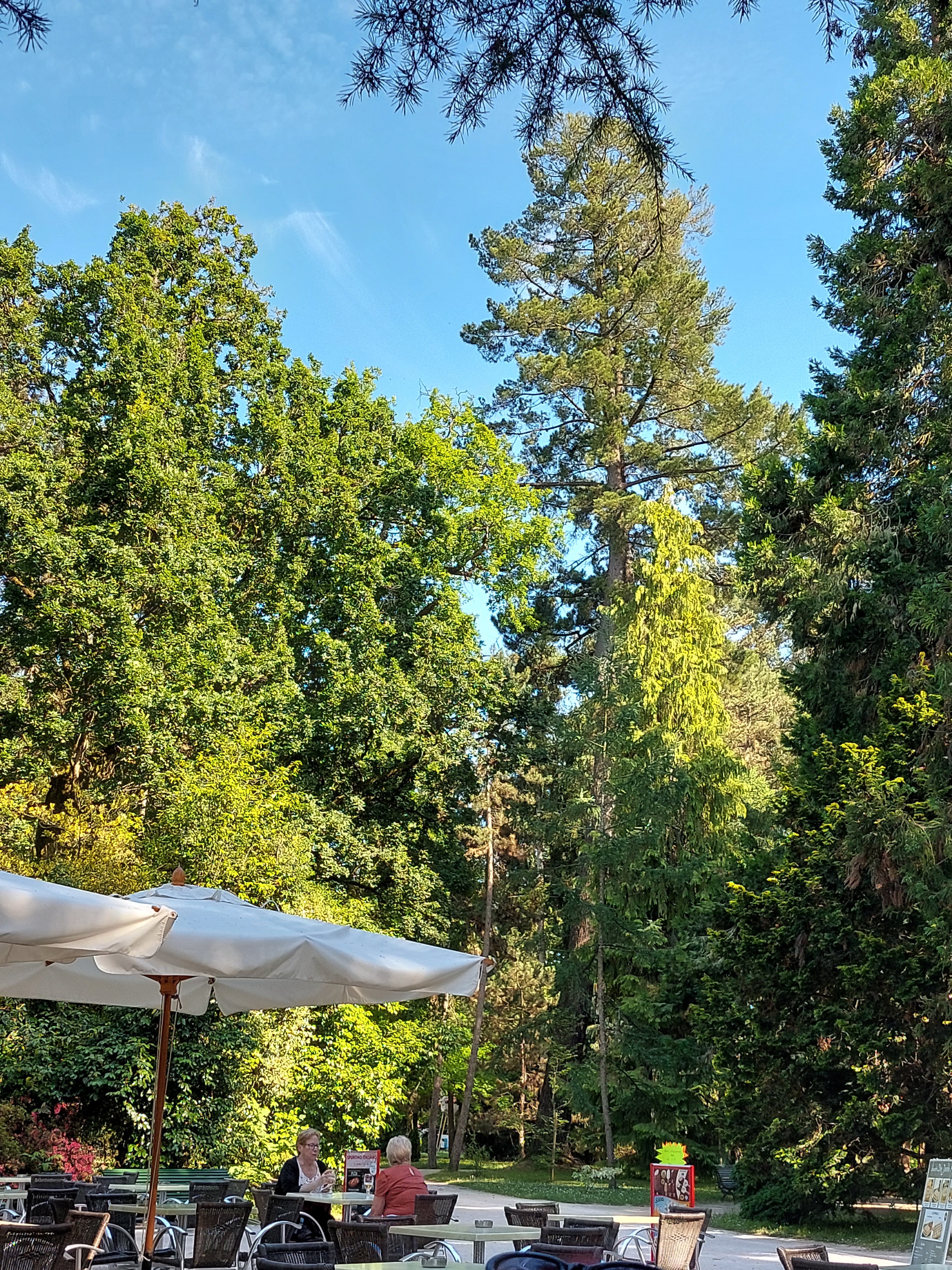 Photo n° 1 de l'avis de Juliette.n fait le 13/06/2022 à 17:28