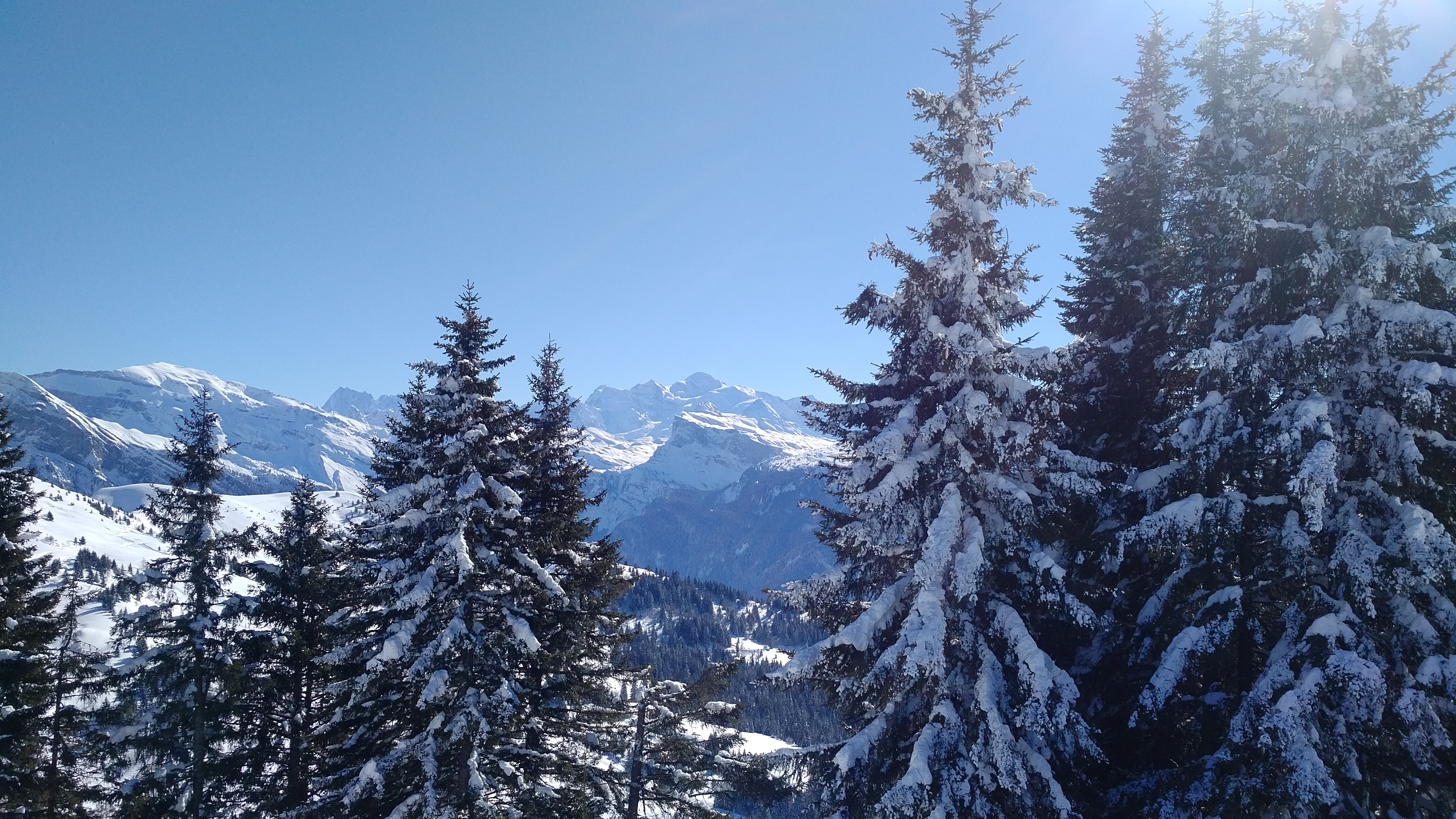 Photo n° 7 de l'avis de Bernard.a fait le 07/02/2019 à 15:19