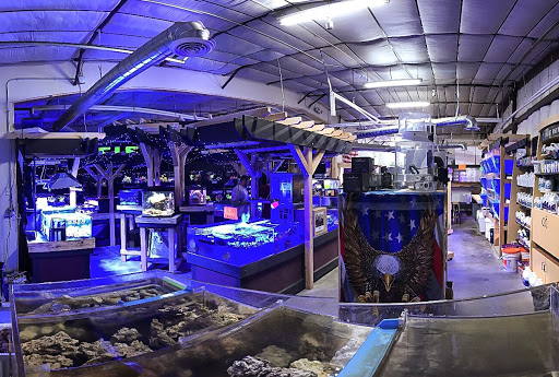 Tropical Fish Store «Elite Reef», reviews and photos, 8410 Wadsworth Blvd F, Arvada, CO 80003, USA
