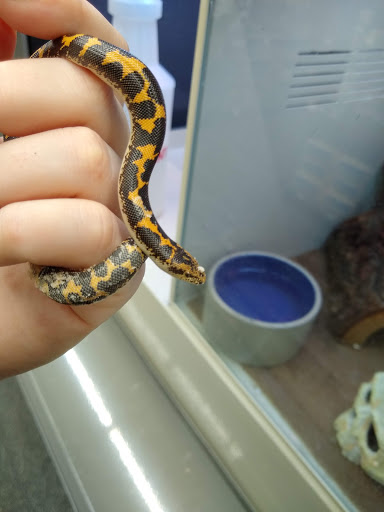 Pet Supply Store «Pet Supplies Plus», reviews and photos, 13360 W 87th St Pkwy, Lenexa, KS 66215, USA